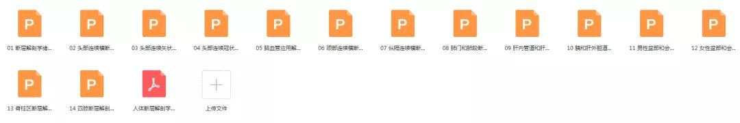 210G解剖学视频，包含系统、断层、运动、人体和局部解剖学