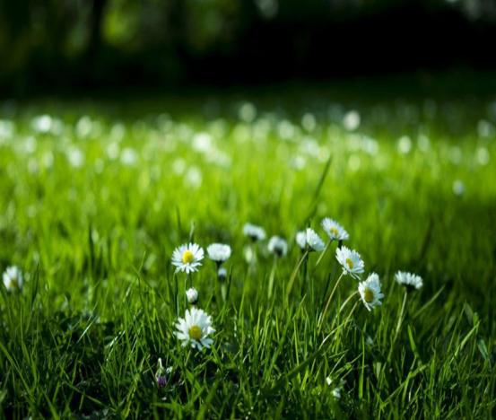 四十四岁女子头部恶臭,头部恶臭气味
