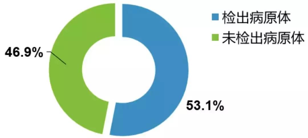 感染性疾病检测有问题,呼吸道感染诊疗指南