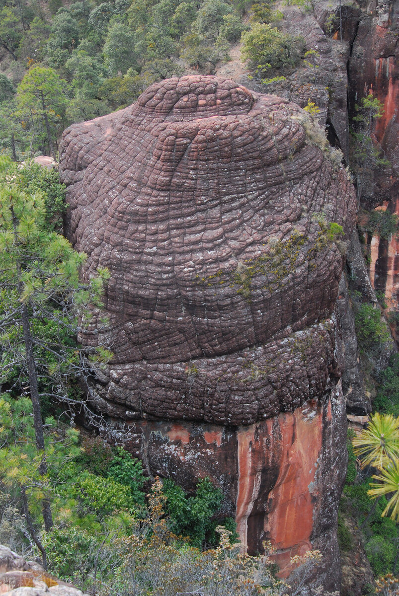 想去丽江怎么办,想去云南丽江旅游怎么办