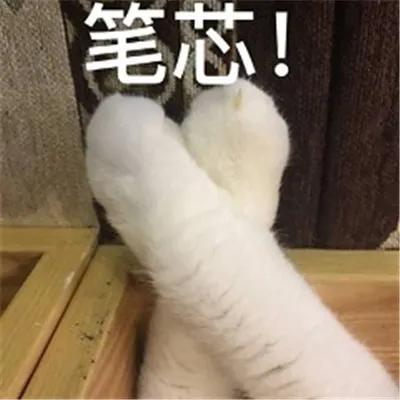 猫地震的时候没有反应,地震了猫会有反应吗
