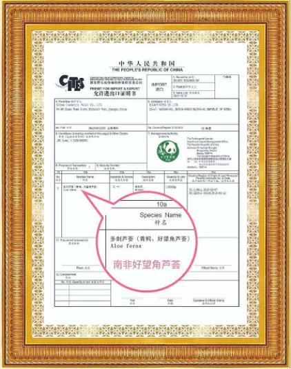希芸鲨烷精纯芦荟胶,希芸菁纯芦荟胶测评