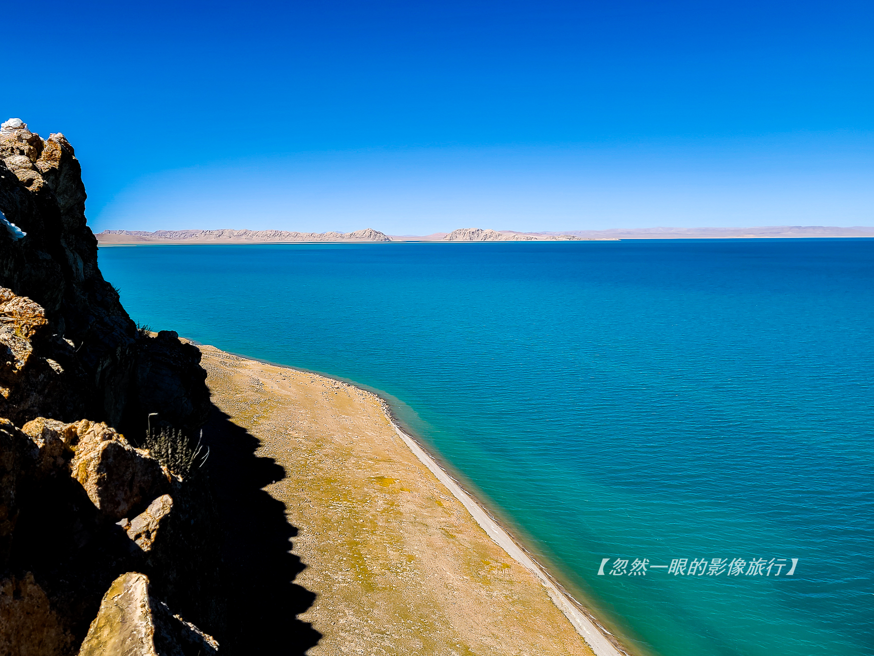 阿里无人区野狼出没,阿里无人区狐狸