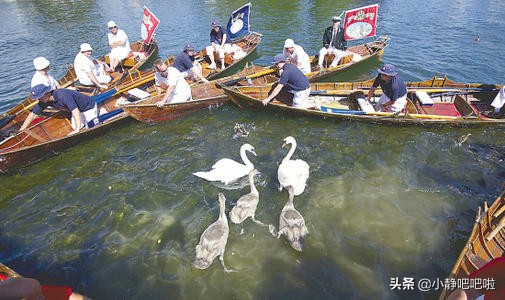 你不知道的国家冷知识日本篇,不得不知道的英国冷知识