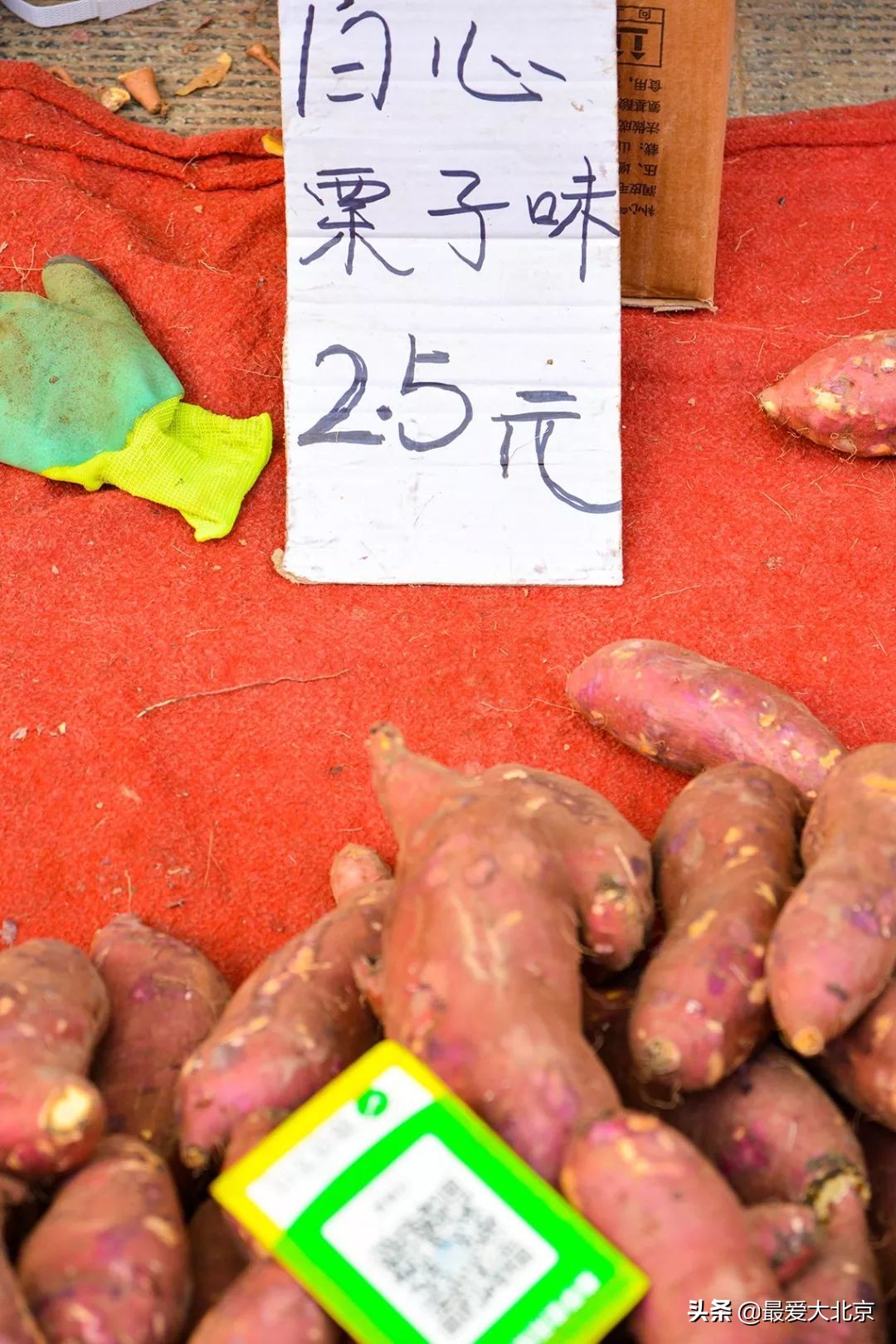 带你逛北京最大早市,北京正宗早市推荐