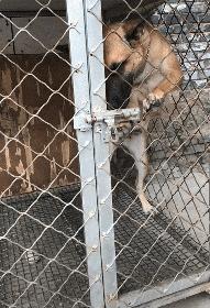 上厕所没有厕纸只能用绳子,上厕所没有卫生纸能用吗