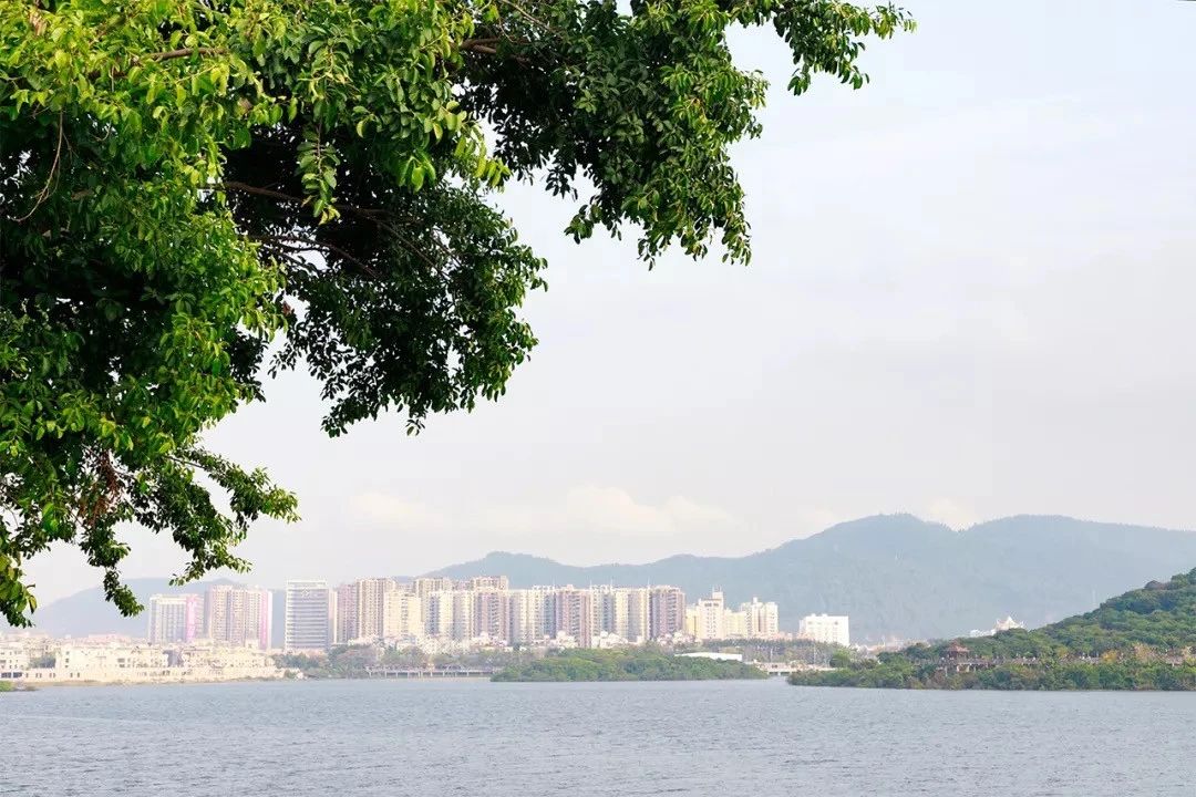 深圳夜晚小众打卡地景点,深圳十个小众打卡地