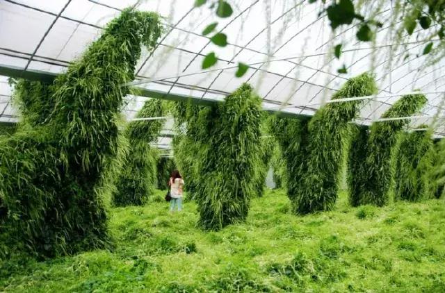 国家给了无锡什么政策,无锡政府补贴什么时候给