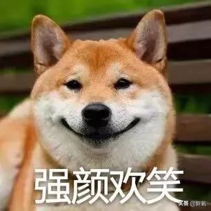 最值得买的淘宝网红店,质量稍微好一点的淘宝网红店