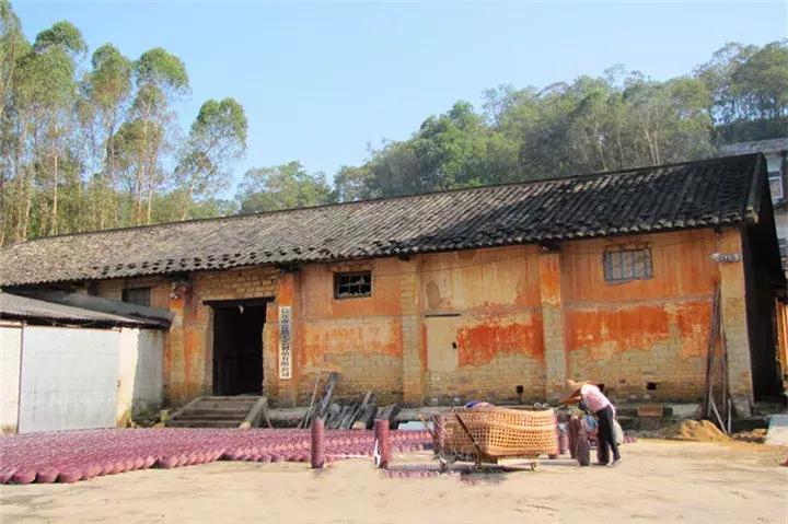 广东信宜|竟有53万华侨同胞来自这“八山一水一分田”之地?