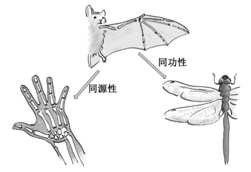 动物“耍”起聪明来，也许颠覆你的想象|展卷