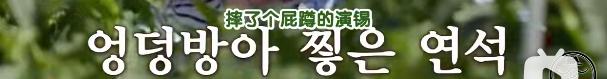 柳演锡申贤彬为什么叫wintergarden,罗英锡曺圭贤