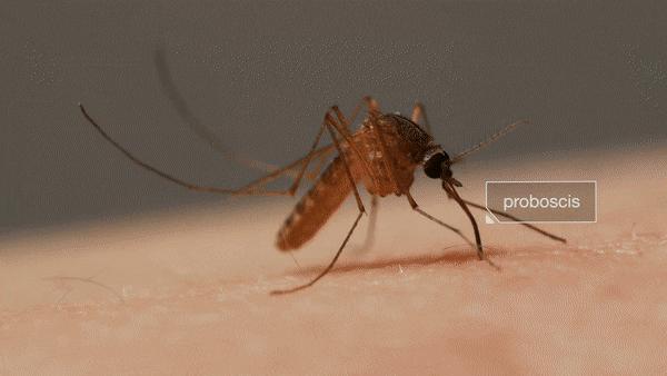 用什么止痒最有效果,用什么药物止痒效果最好