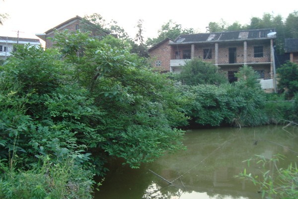 承包一片鱼塘,承包一个鱼塘的前景