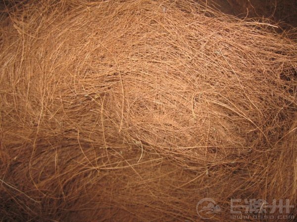 床垫种类那么多，每天还是睡不好。可能是你还没GET到新技能