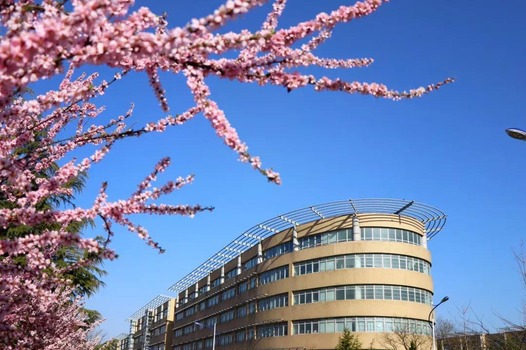 辽宁省高校(三十二)大连外国语大学