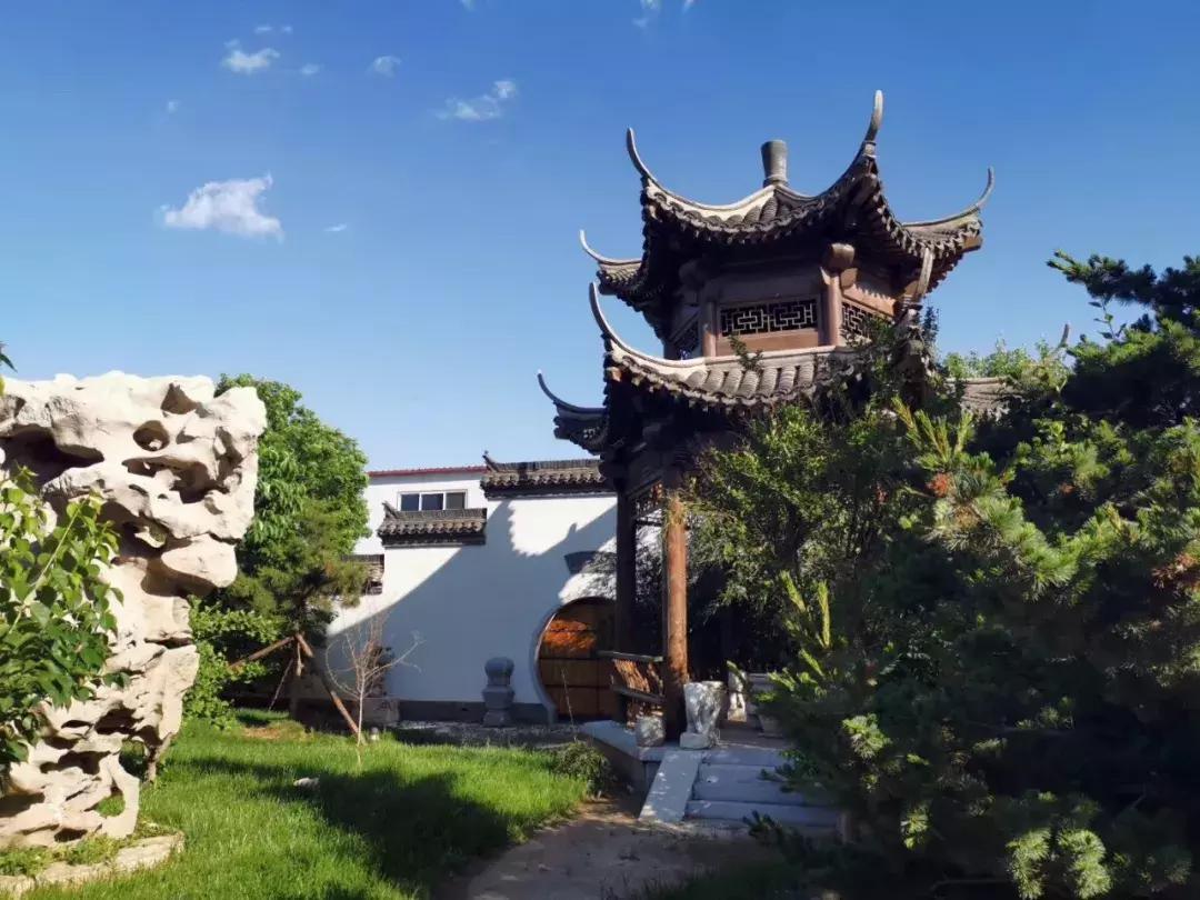 中国黄花梨第一人杨波,杨波成名之路