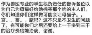 猫咪猫闹该怎么办？现在还有人相信棉签*法大**？