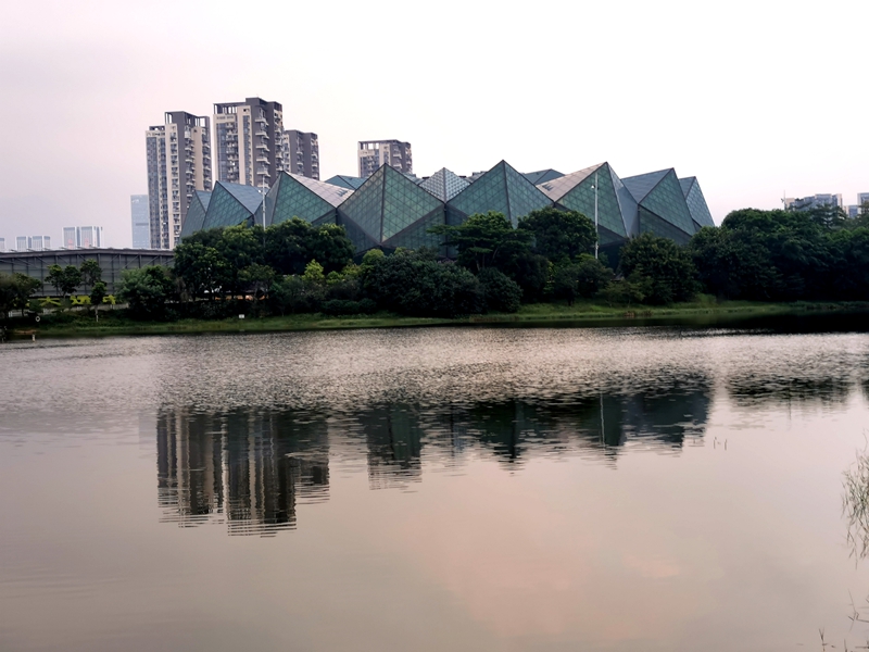 深圳城建最好的地方,深圳城建让人震撼