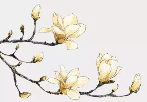 福州市中医院：「橘井泉香」儿科名医陈桐雨与循肤摸麻