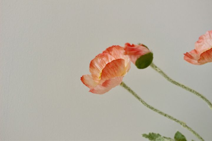 如何自助刷墙漆,自助刷墙漆