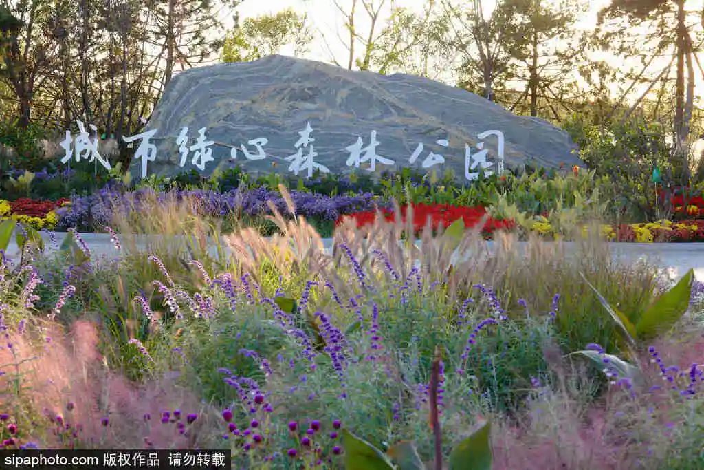 别错过京城这些公园已有别样风景,北京看花海最好的地方