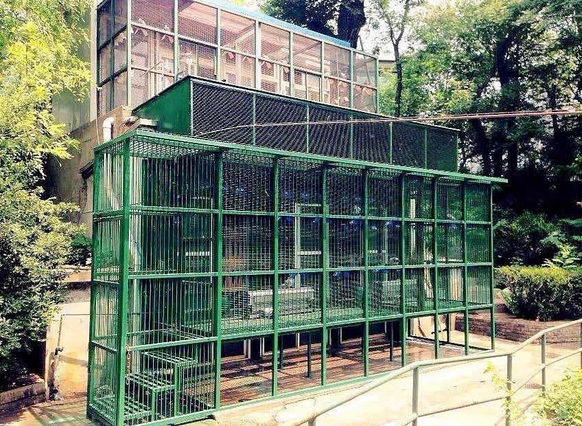 慈禧最爱的豌豆黄,慈禧最爱什么东西