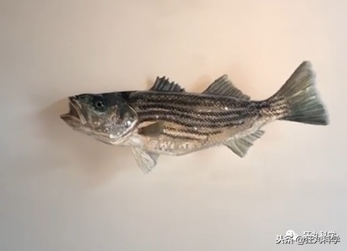 閫忚澶栨寕鐪熺殑鍋囩殑,閫忚澶栨寕鐪熷疄浜嬩欢