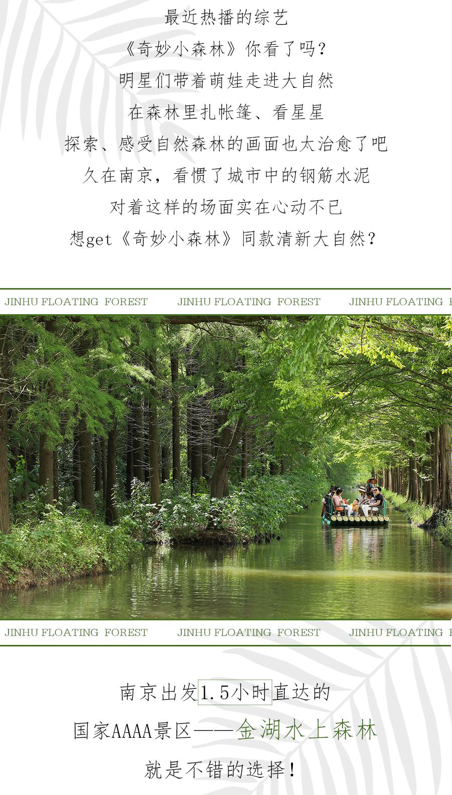 森氧之地，秋游必选！金湖万亩水上森林，真的别有趣味