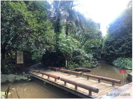 乐山住宅景观,乐山小区景观造雾