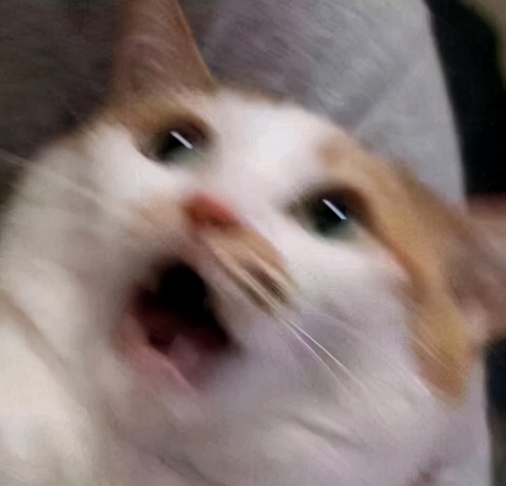 天刀大佬出场,天刀和剑三哪个值得入手