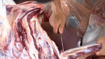 用3年干倒周边牛杂店！柳州80后“牛杂王”的逆袭之路