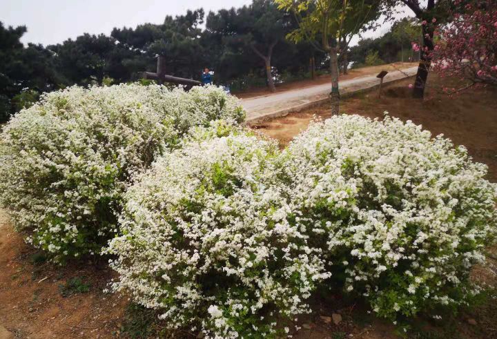 北京西山国家森林公园,北京西山国家森林公园预约