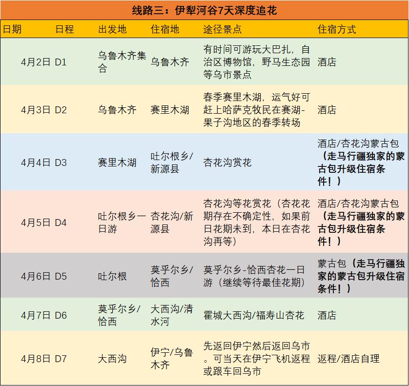 走马春季追花线|春漫*疆新**，牧笛声声中的杏花村