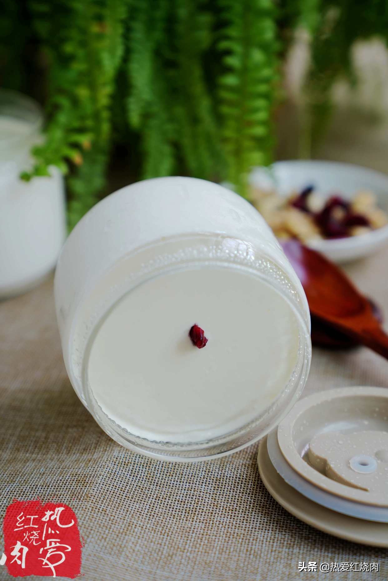 自制酸奶不酸不甜但粘稠拉丝,配方奶做酸奶几勺配500ml水