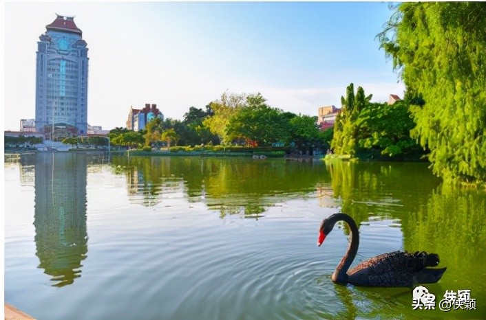 工作分析中常用的方法是,根本原因分析方法和工具