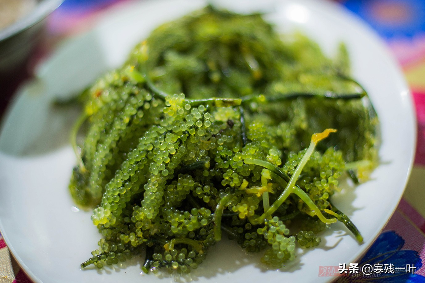 沙巴亚庇海鲜夜市,去马来西亚哪里海鲜最便宜