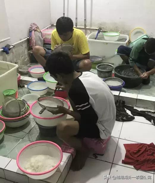 泰国燕窝和马来西亚哪个好,泰国燕窝马来燕窝外表差别