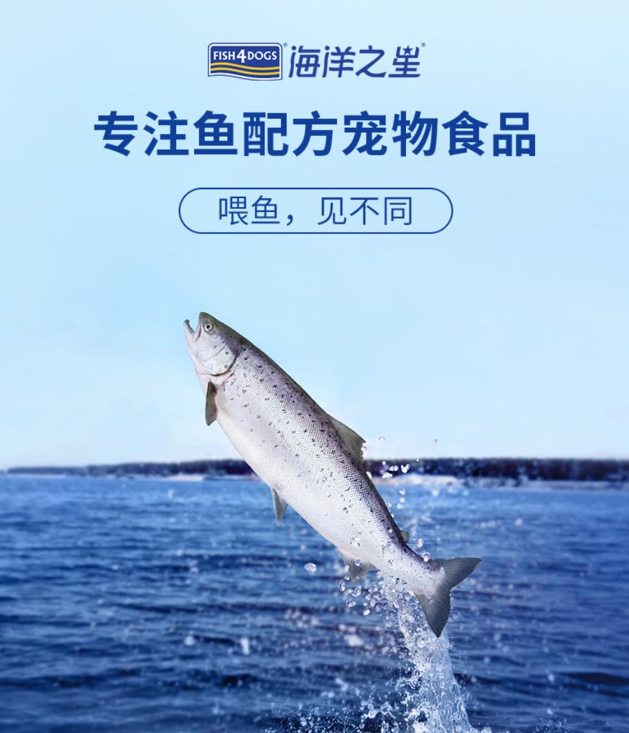 年货狗粮储备选购，不能饿着家里汪星人，6点选购要点，清单推荐