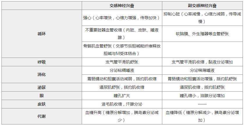 气温高手脚发痒怎么回事,气温高手脚皮肤瘙痒长小红疹