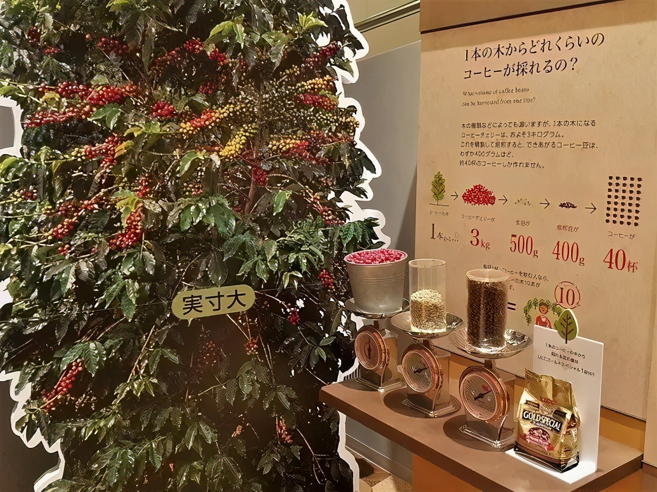 日本美食旅游的兴起,日本美食与风土人情