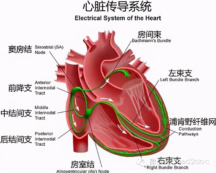 新手爸妈必看婴幼儿护理,新手爸妈要知道的四个儿科医生