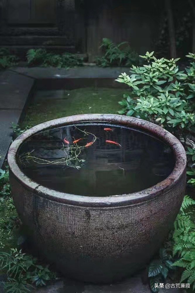 世道轮回因缘际会一切皆有定数,终须有缘到无时莫强求万般皆是命