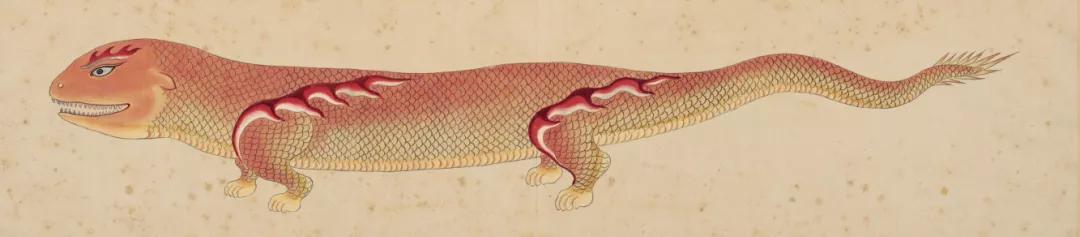 世界那么大我想去看看读书笔记,世界那么大我想去看看古诗