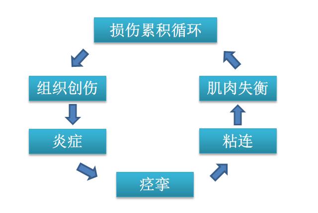 什么是肌肉粘连,健身肌肉筋膜粘连怎么办