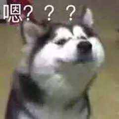 自由撰稿人怎么赚钱,独立撰稿人怎么挣钱