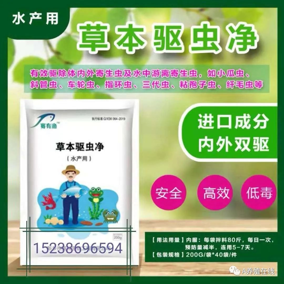 鱼鳃出血是什么病,鱼烂鳃病最佳治疗方法