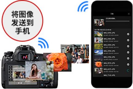 佳能数码相机推荐性价比高学生,佳能77d与佳能6d哪个更值得入手