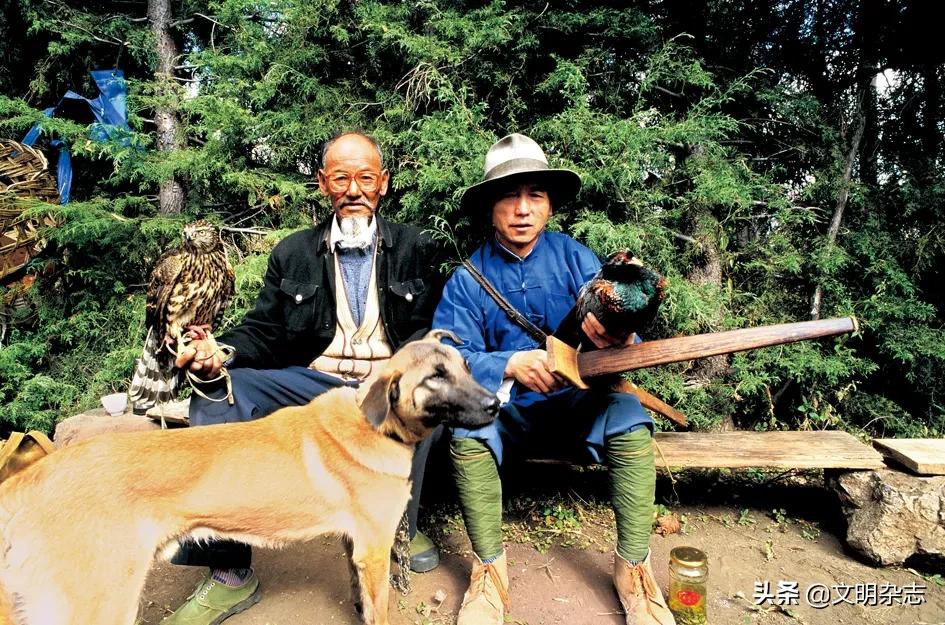 纳西鹰猎的视频,纳西鹰猎精彩视频