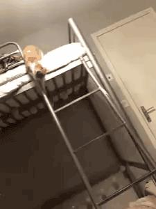 你根本不知道，养只猫有多幸福！